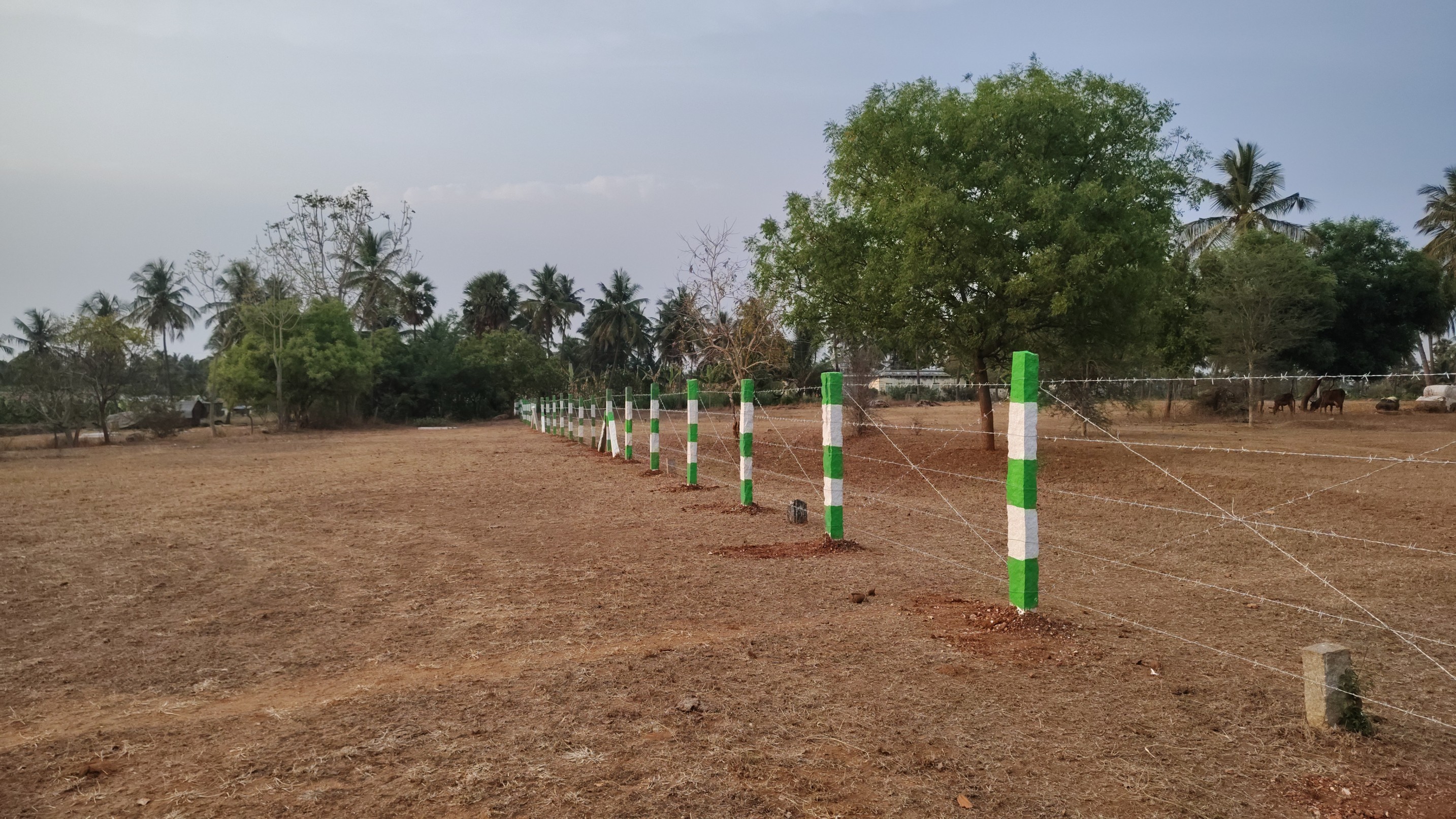 Barbed Wire Fencing in Tiruppur – Affordable & Durable Security Fencing | Navi Fencing — photo 4